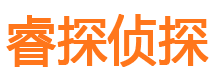 新田市侦探调查公司